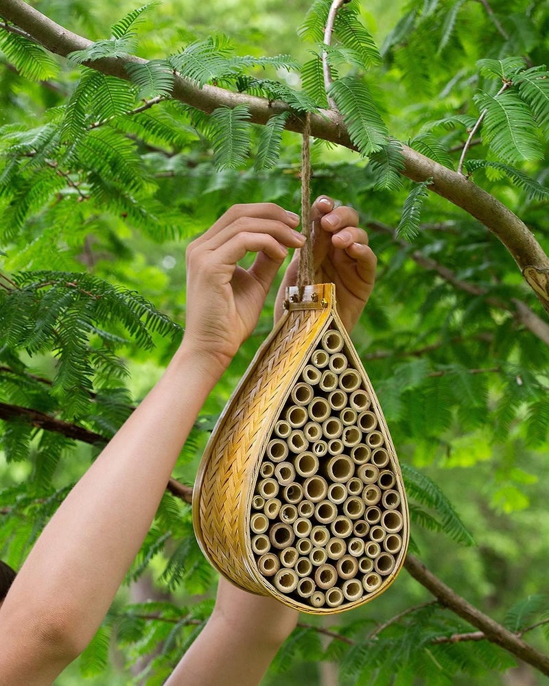 SunVara Wild Pollinator Mason Bee Habitat | Garden Bee House | Hanging Bee House Pack 2 - Image 1